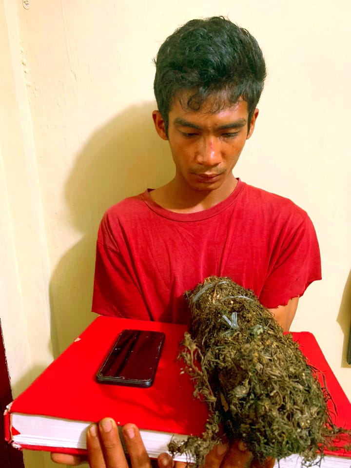 SATNARKOBA POLRES ACEH SINGKIL : TANGKAP PENGEDAR NARKOBA GANJA