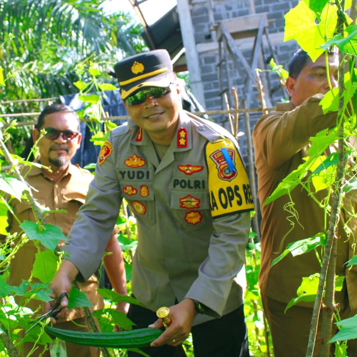 KAPOLRES ACEH JAYA IKUT MEMANEN PRODUK TANI SIGAM TAMPAN