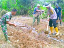 TNI – POLRI KECAMATAN SETIA : KOMPAK BANTU WARGA FUNGSIKAN LAHAN TIDUR UNTUK PERTANIAN KETAHANAN PANGAN