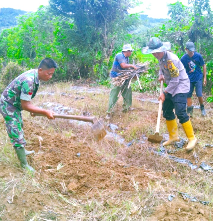 TNI – POLRI KECAMATAN SETIA : KOMPAK BANTU WARGA FUNGSIKAN LAHAN TIDUR UNTUK PERTANIAN KETAHANAN PANGAN