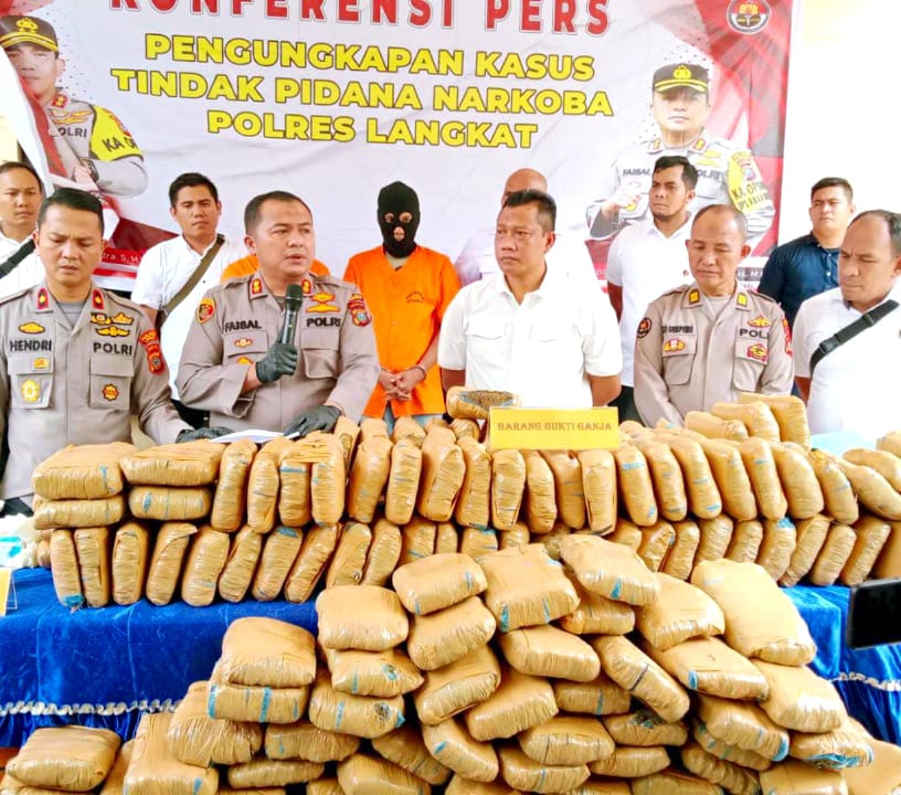 POLRES LANGKAT – AMANKAN 232 KG DAUN GANJA ACEH