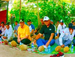 BUPATI HAILI YOGA SEBUT KAMPUNG DIGUL : SANGAT BERPOTENSI BESAR JADI PUSAT WISATA DURIAN