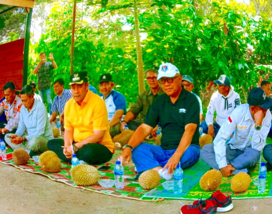 BUPATI HAILI YOGA SEBUT KAMPUNG DIGUL : SANGAT BERPOTENSI BESAR JADI PUSAT WISATA DURIAN