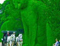 RIUNG PARTY KOLABORASI WARUNG KOPI – JAM KARET MASIH LANGGENG DISETIAP MOMENT RESMI PEMERINTAHAN