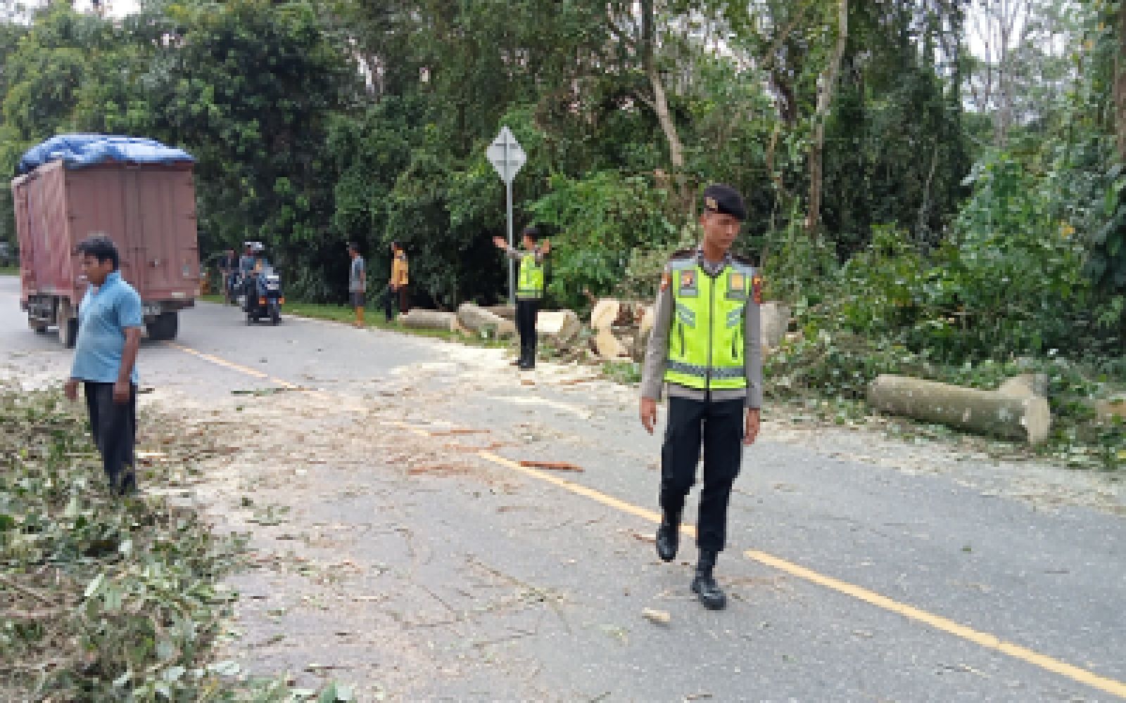 Pohon Tumbang di Jalinsum,Samapta Polres Merangin Langsung Bantu Pengaturan Jalan