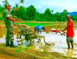 Jelang Puasa : Babinsa Lembah Sabil Geber Bajak Sawah