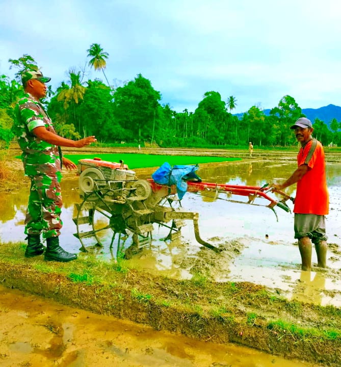 Jelang Puasa : Babinsa Lembah Sabil Geber Bajak Sawah