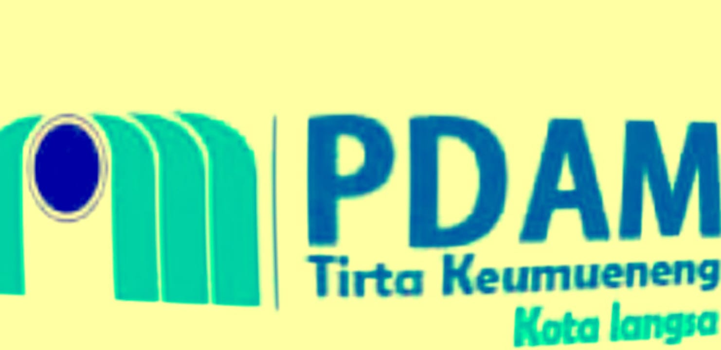 Menguak Tabir Ada Tidaknya Penyertaan Modal PDAM Tirta Keumuneng 2020-2021 – Apa Kata Sejumlah Sumber