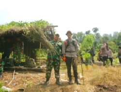 BREAKING NEWS … PETUGAS GABUNGAN NAGAN RAYA : MUSNAHKAN 40 HEKTAR LADANG GANJA SIAP PANEN