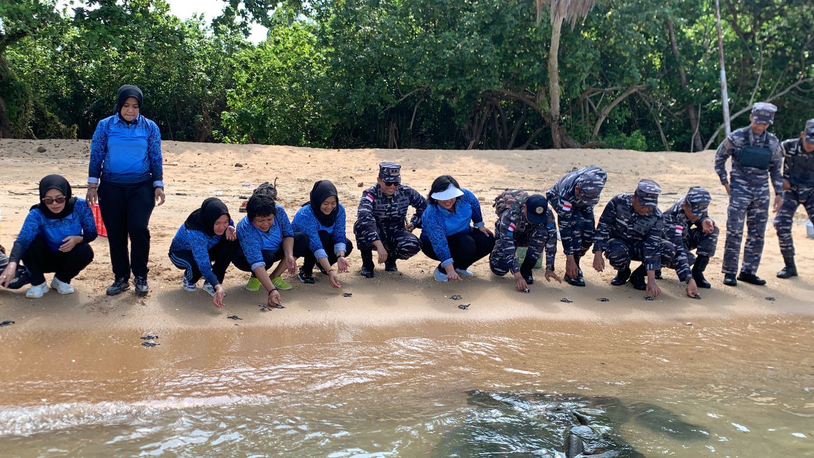 TNI AL Lanal TBA Lepaskan Tukik di Perairan Pulau Jemur