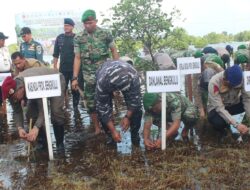 TNI AL Lanal Bengkulu Tanam Mangrove Serentak Se-Indonesia