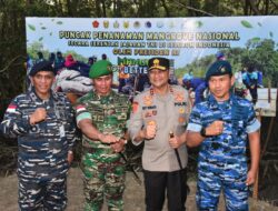 Danlantamal XII Bersama Forkopimda Kalbar Ikuti Puncak Penanaman Mangrove Nasional