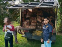 Kasat Reskrim Polres Merangin,Kayu Tanpa Dokumen di Amankan Tim Elang Opsnal.