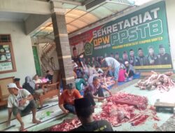 Wujudkan Kepedulian Sosial Ketua DPW PBB SUCI AZHI,SE Bagikan Daging Qorban