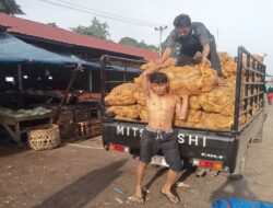 ” Pilo ” Ubi Jangkat Merambah Provinsi dan daerah Tetangga,Pendapatan Warga Merangin bertambah