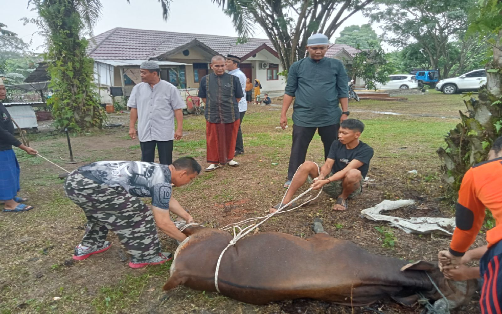 Polres Merangin Laksanakan Penyembelihan Hewan Qurban di Mako Polsek Bangko