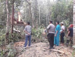 Polsek Air Hitam Bersama Pemerintah Kecamatan Air Hitam dan Desa Jernih Musnahkan Alat Akfititas Peti