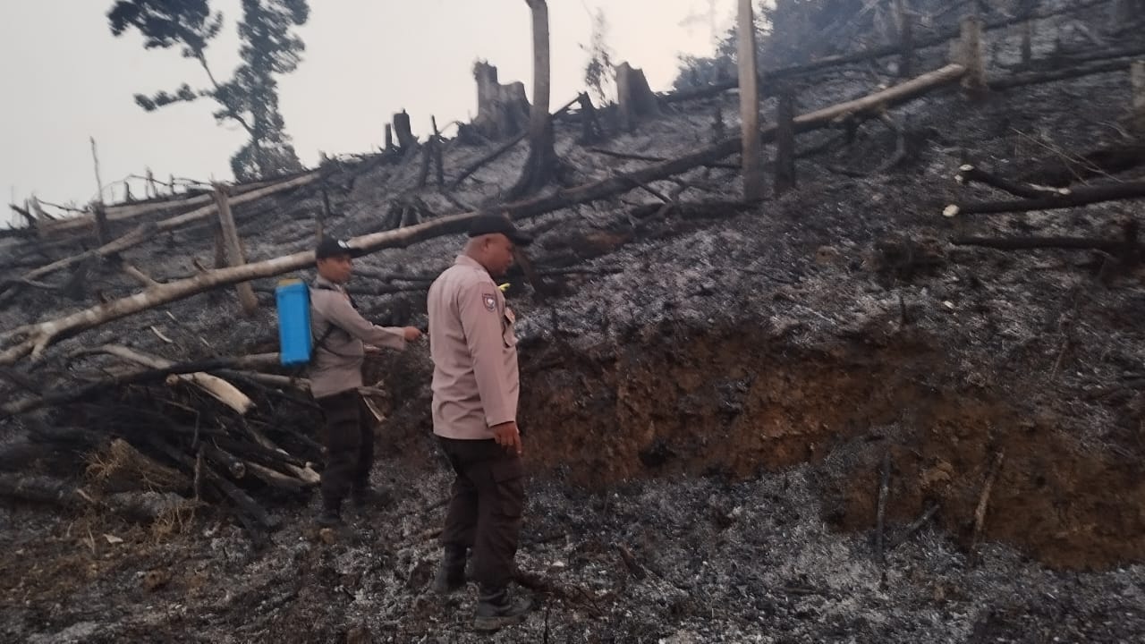 Ditemukan Titik Hotspot di Koordinat S.-1.9730 E. 102.1448 Desa Rantau Ngarau,Polsek Tabir dan Satgas Laksanakan Monitoring Langsung