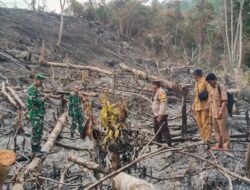 Personil Polsek Muara Siau Pasang Garis Polisi pada Lahan Yang terbakar