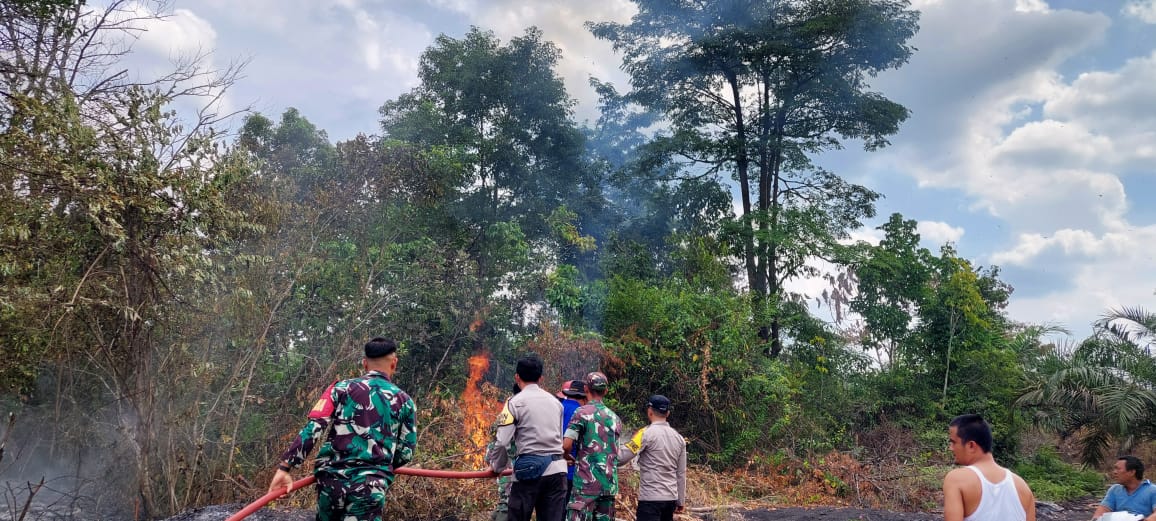 Tangani Karhutla di Desa Pelawan Agar Tidak Meluas, Tim Gabungan Bersama Masyarakat Berjibaku Padamkan Ap