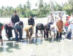 Posal Subi Bekerjasama Dengan Pemerintah Kabupaten Natuna Lepaskan Bibit Penyu Demi Menjaga Kelestarian