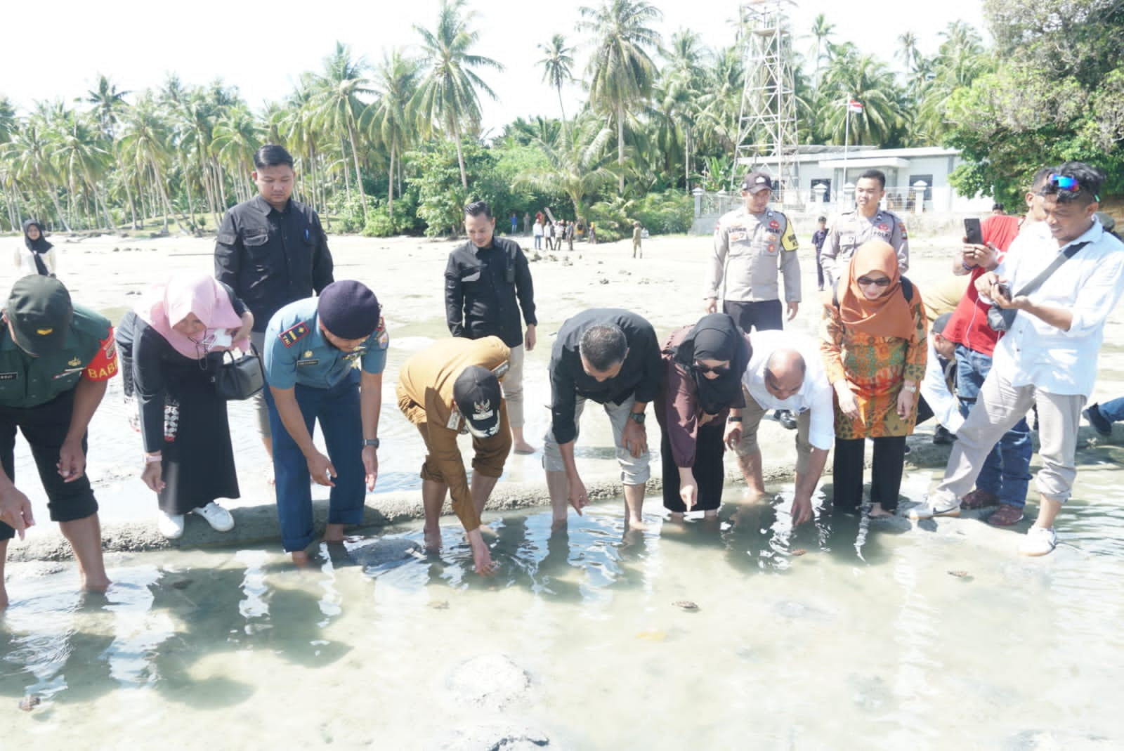 Posal Subi Bekerjasama Dengan Pemerintah Kabupaten Natuna Lepaskan Bibit Penyu Demi Menjaga Kelestarian