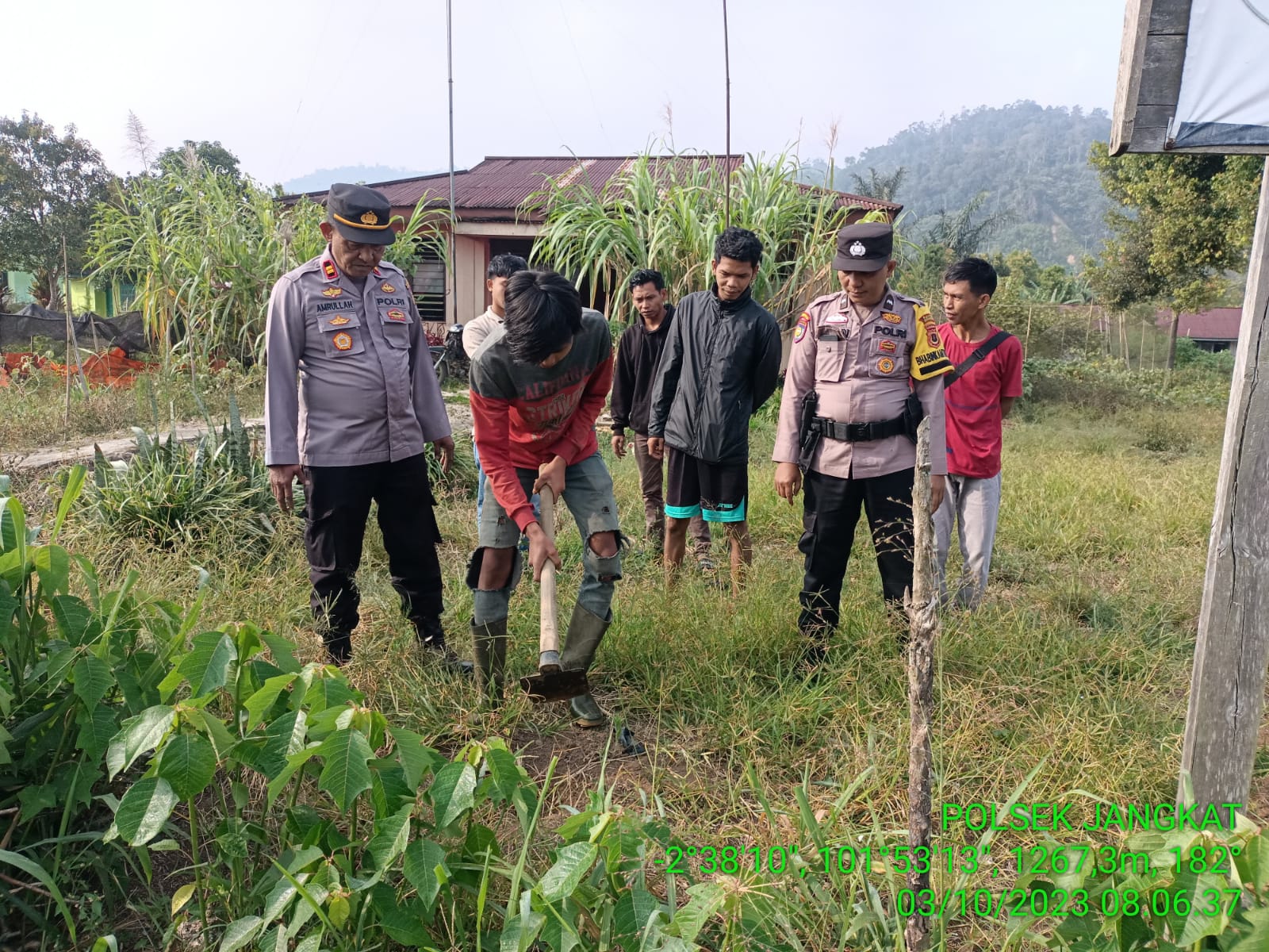 Polsek Jangkat Laksanakan Penanaman Seribu Pohon sertakan warga menjaga Hutan dan waspadai Karhutla