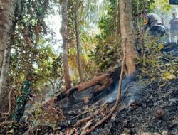 Bhabinkamtibmas dan Babinsa di Muara Siau pada Musim El Nino Laksanakan Tindakan Cepat Penanganan Karhutla