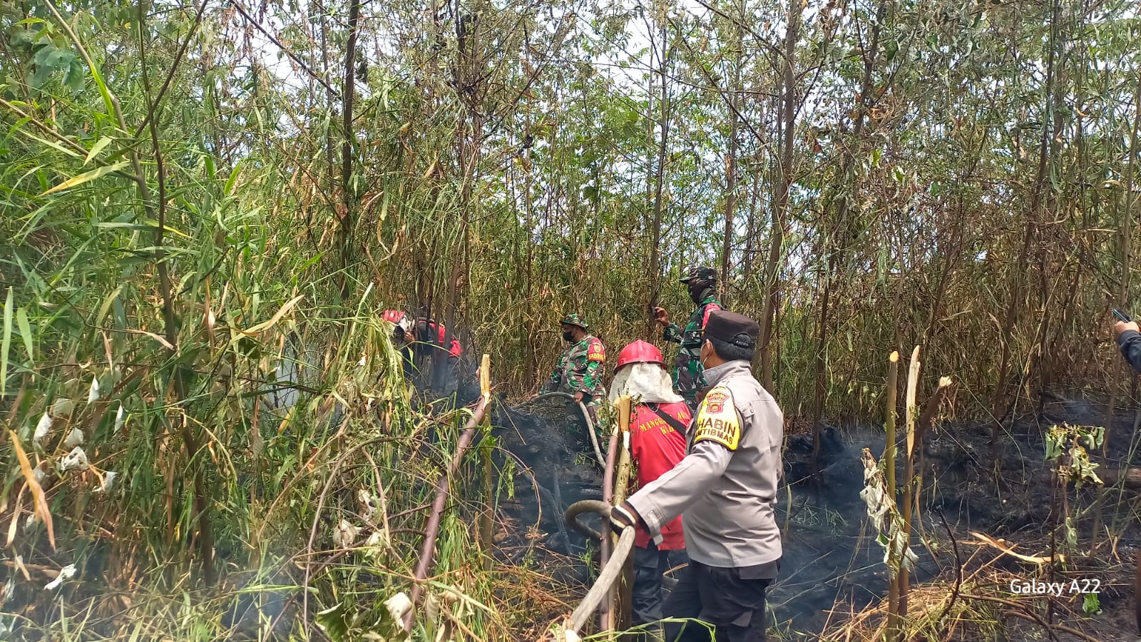 Kebakaran Lahan Hampir masuk Pemukiman, Tim Gabungan Gerak Cepat Padamkan Api