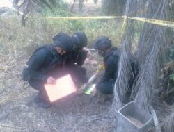 Gegana Brimob Polda Sumsel Bergerak Cepat Atas Ditemukan Dua Mortir Di Kebun Sawit PT.TBL Kabupaten Banyuasin