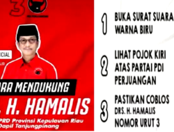 Drs. Hamalis, M. Si Caleg DPRD Provinsi Kepri Nomor 3 Pertahankan Nomor Urut 3, PDI-P: Salam Merah Total, Kebangkitan PDI di Masa Orde Baru” 2024