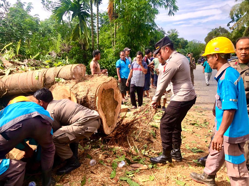 Respon Cepat, Polsek Sarolangun Bantu Evakuasi Pohon Tumbang di Desa Ladang Panjang.