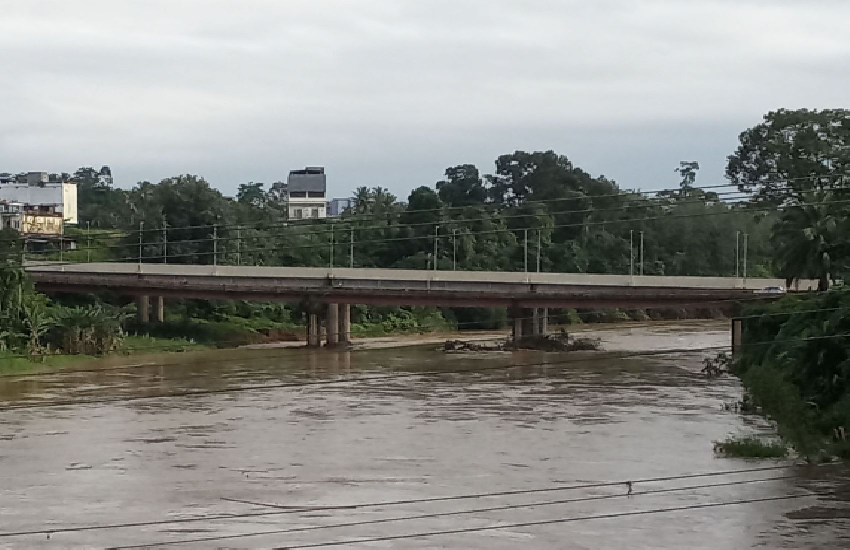 Jembatan Sembuan Diperkirakan Berumur 42 tahun,Sampah Kayu Besar pada Tiang tidak pernah dibersihkan.