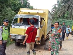 Meninggal Dunia,Bocah 4 Tahun warga SAD terlindas Truck di Jalan Logging