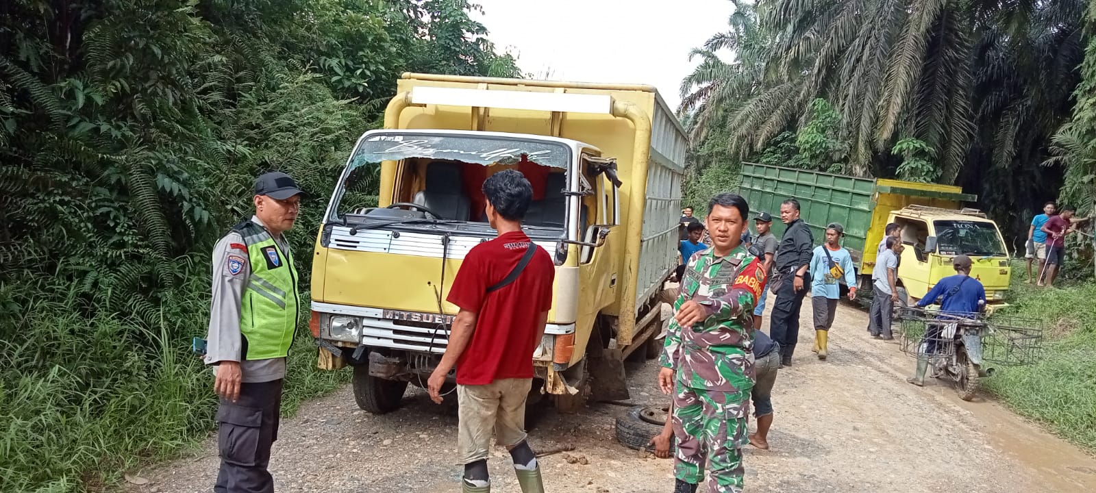 Meninggal Dunia,Bocah 4 Tahun warga SAD terlindas Truck di Jalan Logging