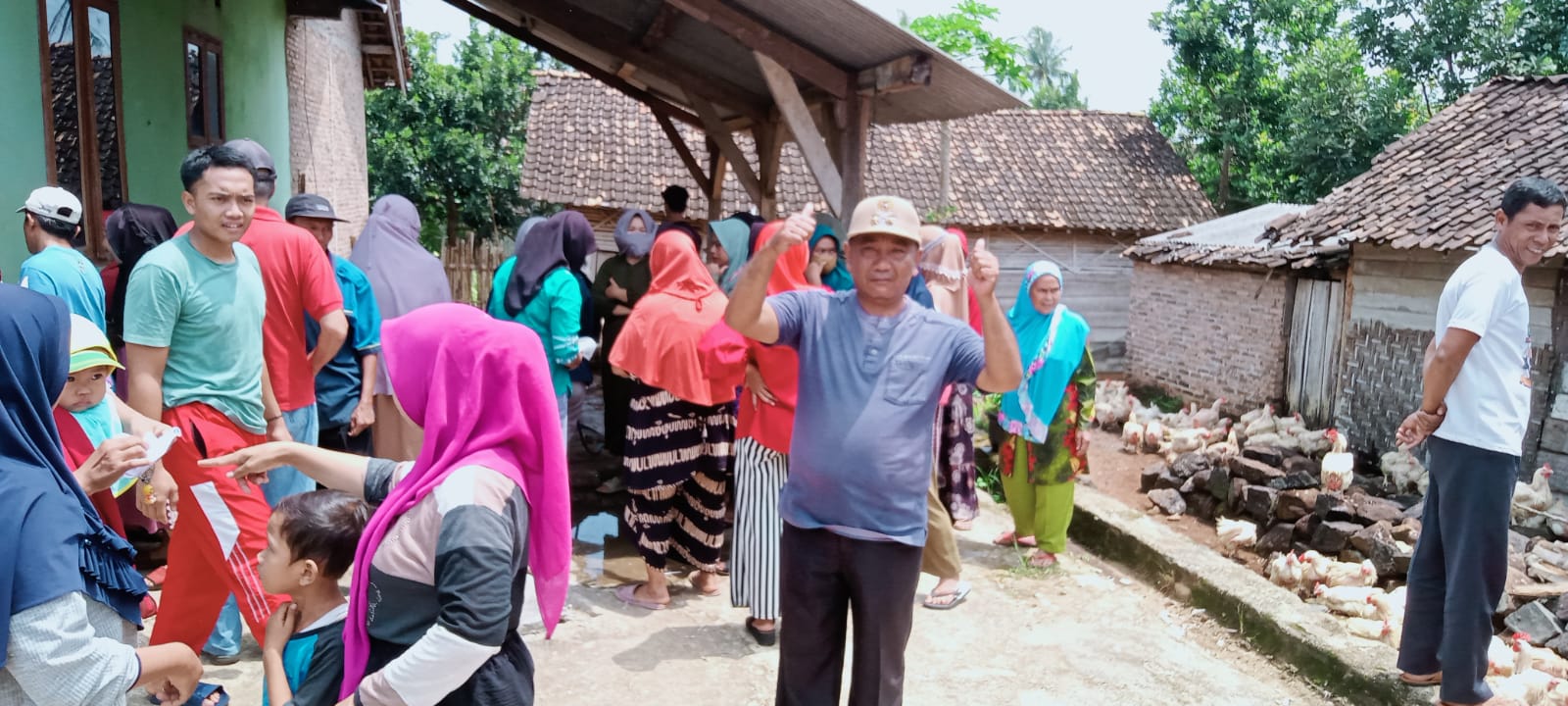 Kepala Pekon Gunung Meraksa Bagi-bagi Ayam Kepada Warganya Sebanyak 700 Ekor