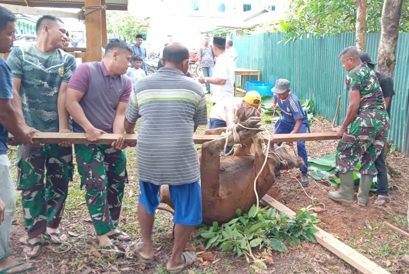 Setelah Sholat Idul Adha 1445 H, Prajurit Kodim 0420/Sarko Laksanakan Pemotongan Hewan Qurban