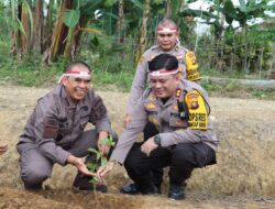 Jelang Hari Bhayangkara Ke-78, Polres Merangin Dan Polsek Jajaran Gelar Penanaman Pohon 