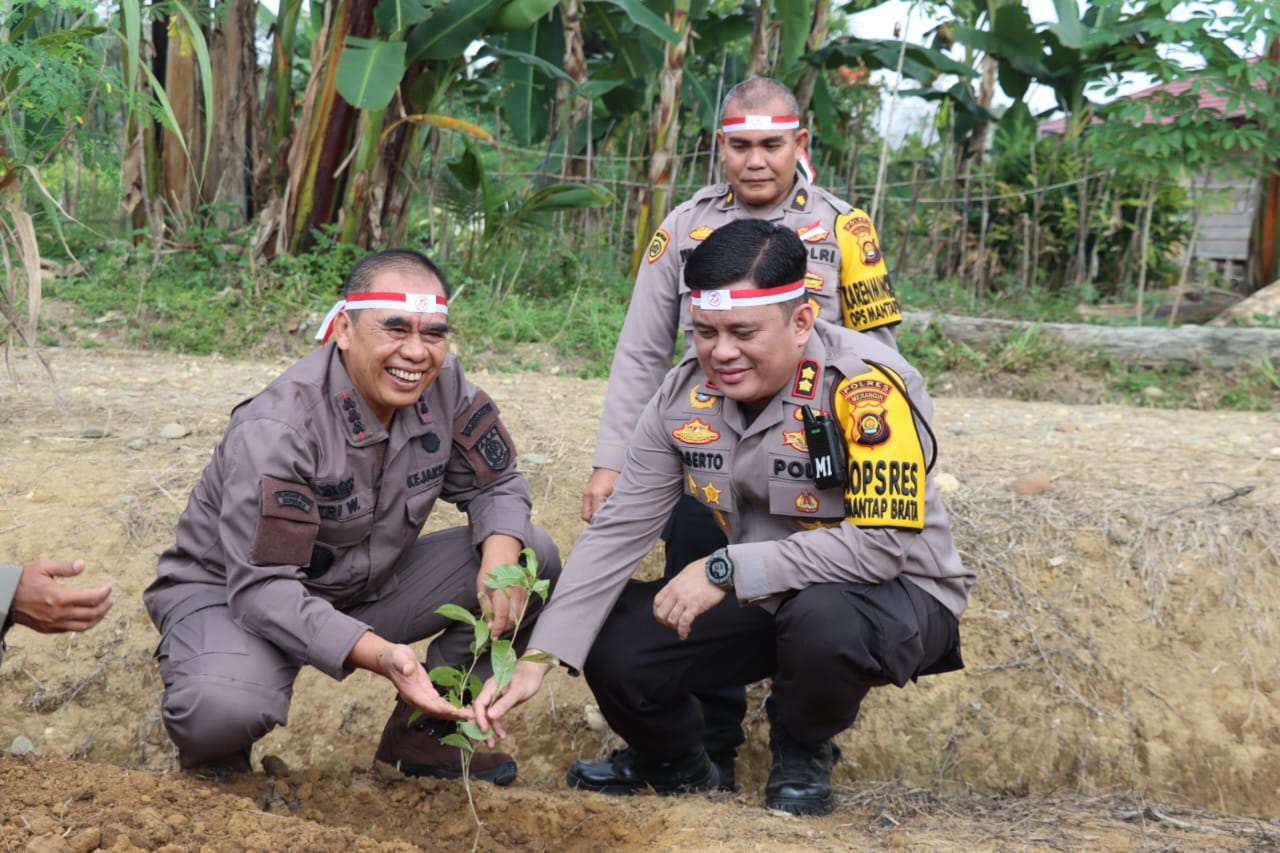 Jelang Hari Bhayangkara Ke-78, Polres Merangin Dan Polsek Jajaran Gelar Penanaman Pohon 