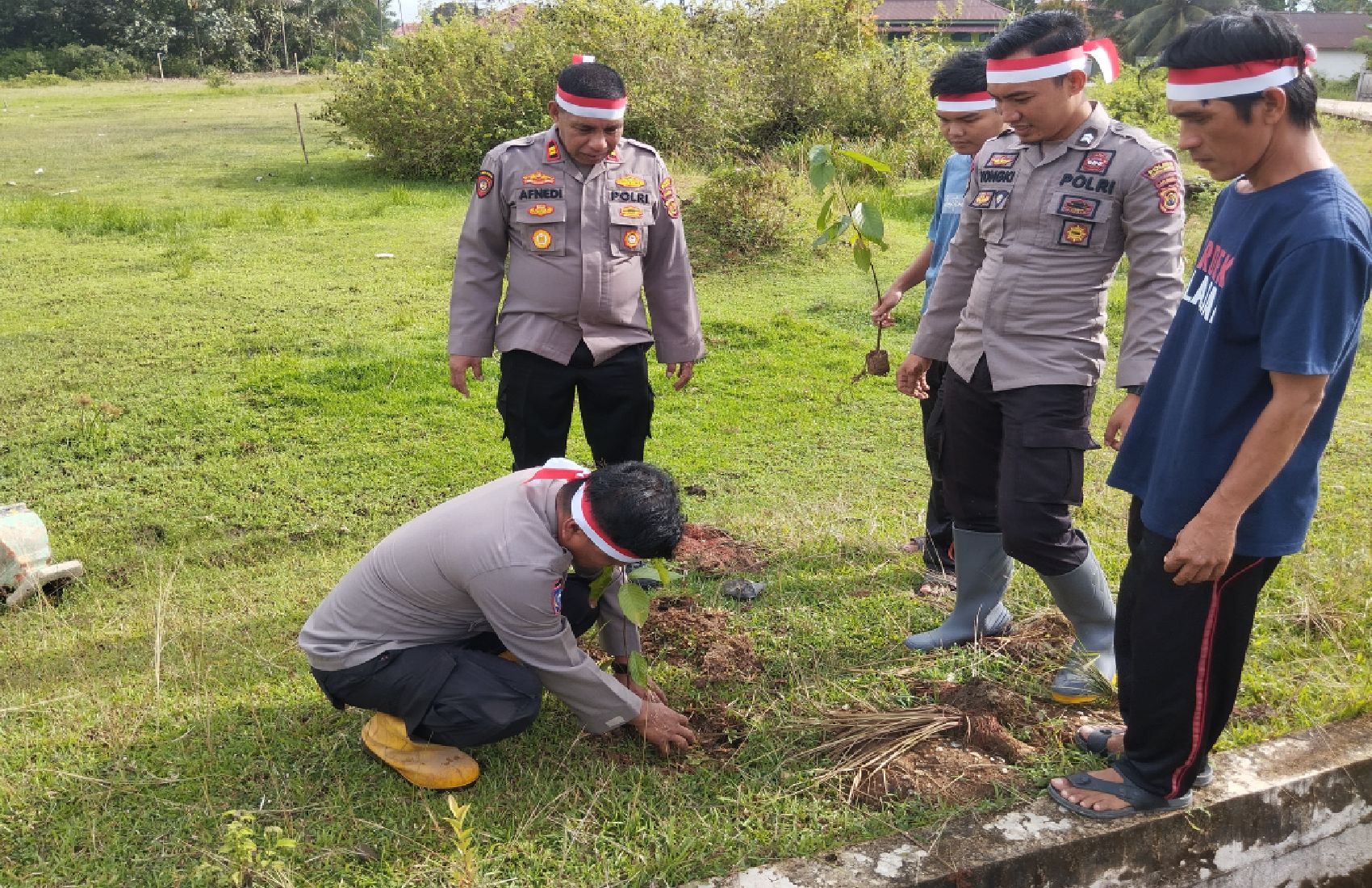 Bukit Hijau Polres Sarolangun Polsek Batang Asai Laksanakan Penanaman Pohon Penghijauan.