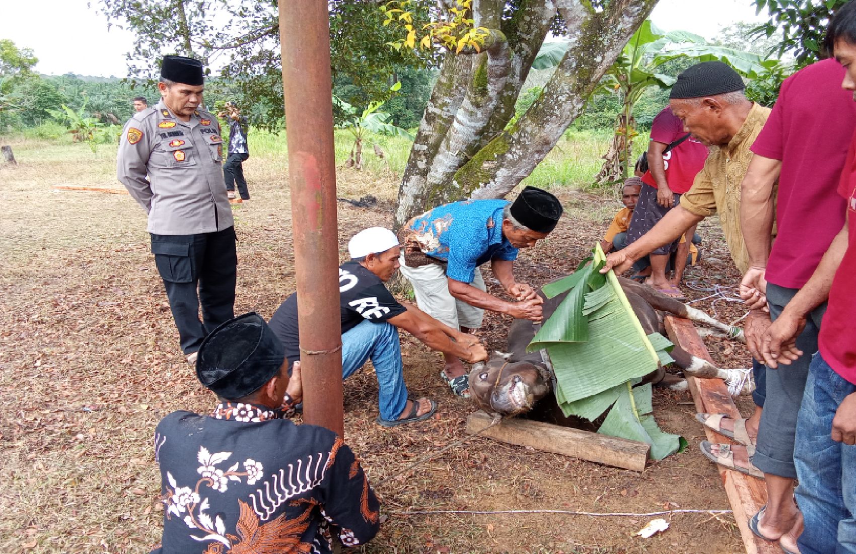 Polres Merangin Laksanakan Qurban di Polsek Bangko