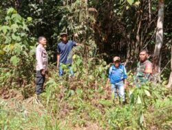 Laksanakan Patroli Karhutla Bersama Masyarakat Babinsa Bhabinkamtibmas Dan Pihak Terkait