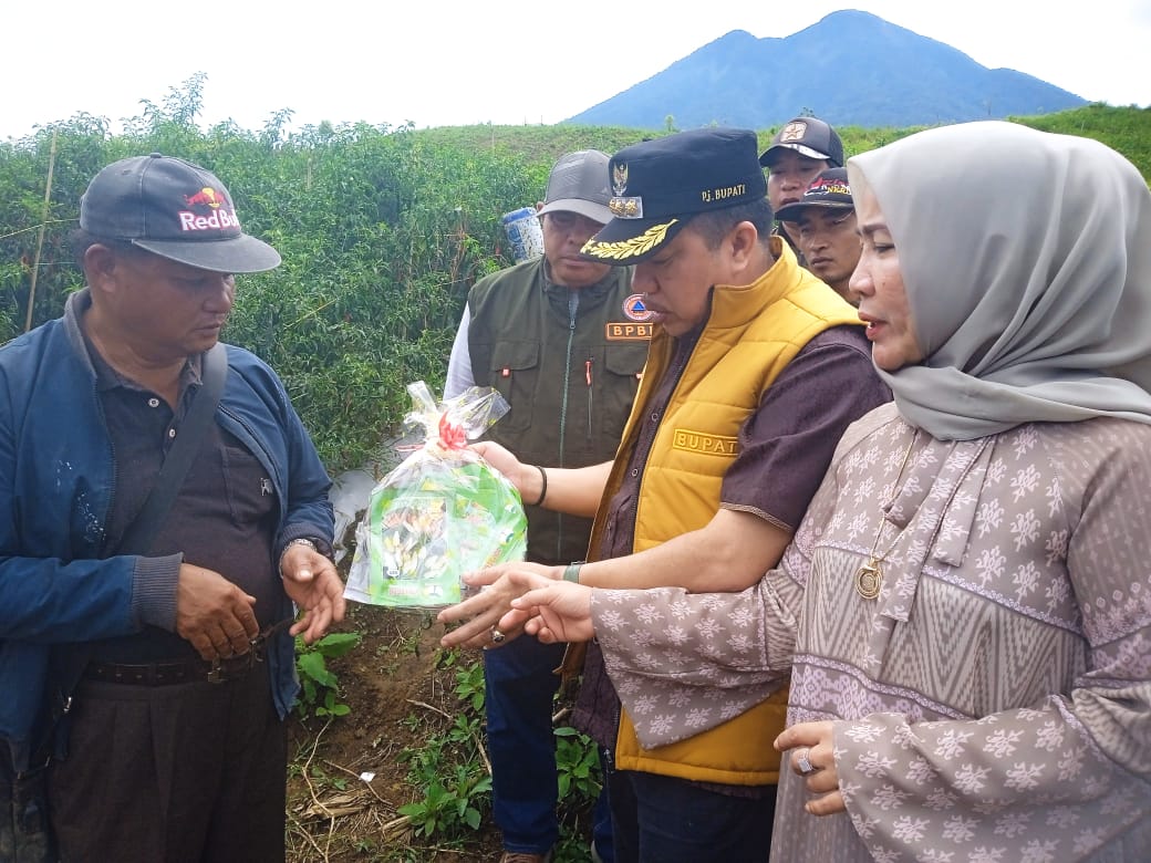 Pj Bupati Serahkan Bibit Cabai ke Petani Jangkat diharapkan Bisa Meningkatkan Perekonomian Masyarakat