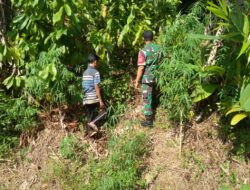 Giat Patroli Di Wilayah Binaan, Babinsa Koramil 06/Muara Siau Ajak Warga Bersama-Sama Mencegah Terjadinya Karhutla