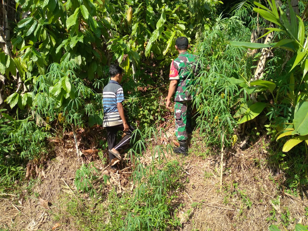 Sambang Balai Desa, Babinsa Komsos Dengan Perangkat Desa 