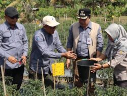 Pj Bupati Buka Sekolah Lapangan Pertanian Pengembangan Padi Sawah dan Cabai untuk Pengendalian Inflasi   