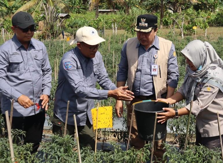 Pj Bupati Buka Sekolah Lapangan Pertanian Pengembangan Padi Sawah dan Cabai untuk Pengendalian Inflasi   