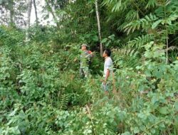 Babinsa Koramil 01/Bta Sertu Adlin melaksanakan kegiatan patroli pencegahan kebakaran hutan dan lahan (karhutla) Di Wilayah Binaanya desa Muara cuban Kecamatan Batang asai