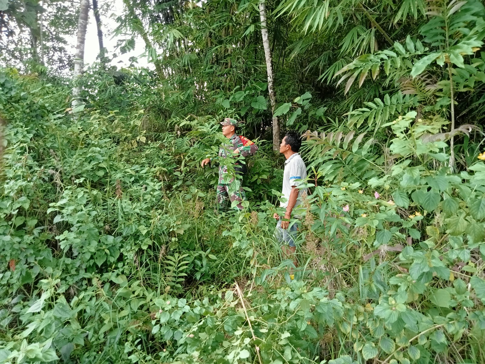 Babinsa Koramil 01/Bta Sertu Adlin melaksanakan kegiatan patroli pencegahan kebakaran hutan dan lahan (karhutla) Di Wilayah Binaanya desa Muara cuban Kecamatan Batang asai