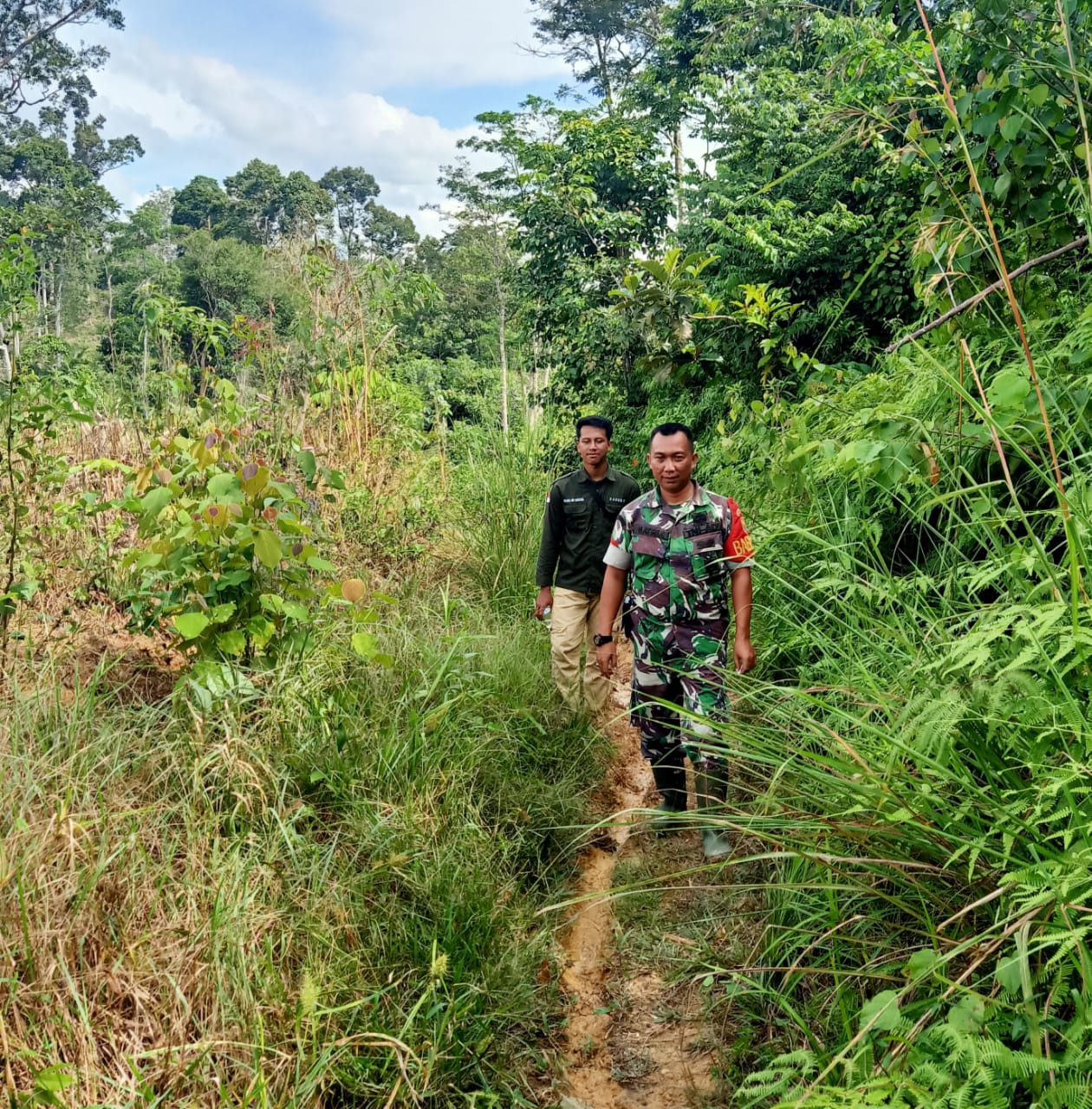 Babinsa Koramil 420-01/Batang Asai Laksanakan Patroli Karhutla